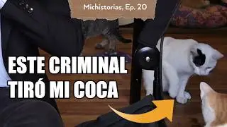 Michi-Podcast desde Mistú Café  | Michistorias 18