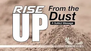 Up from The Dust