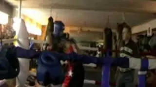 2009.avi