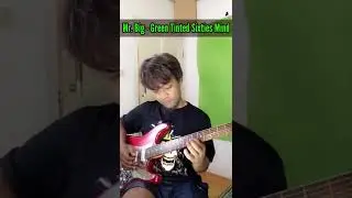 Mr. Big - Green Tinted Sixties Mind