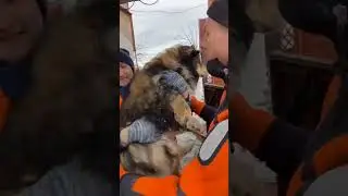Спасатели продолжают свою работу в зоне подтопления 