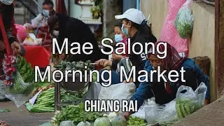 🇹🇭 Mae Salong Morning Market | ตลาดเช้าดอยแม่สลอง | Chiang Rai