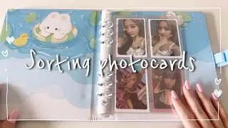 ❀。Sorting photocards  ❀°。
