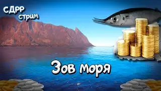 Нужна доза мелких банок. ( Русская рыбалка 4 )