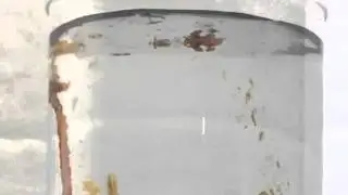Silicate Chemical Garden