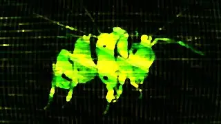 i made something cool.
