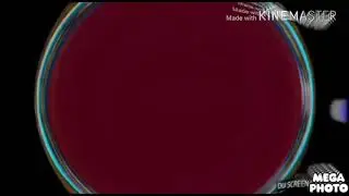 12 0 killed Klasky Csupo HD Effects