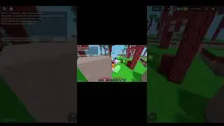 Types Of Bedwars Players | ROBLOX