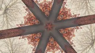 [1 Hour] Beautiful Study Ambient Music | Relaxing Music for Stress Relief • Meditation Sleep Music