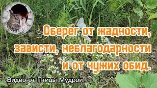 Как уберечься от чужой жадности, зависти, неблагодарности. Как уберечься от чужих обид.