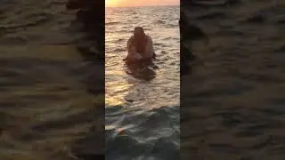 Куда идём мы с Пяточком?На море./Лив будет плавать