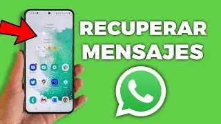 How to Recover WhatsApp Messages Without a Backup 2024