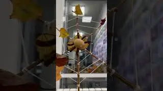 Поделки на Осень 🍂 пауки