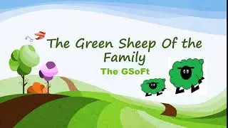The GSoFt Intro