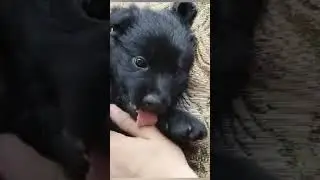 Приветы из дома от сынули Мани.