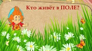 Какие ЖИВОТНЫЕ живут в ПОЛЕ? ЗАГАДКИ для детей