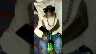 СКАМ ОБЕЗЬЯНА (после просмотра могут пропасть деньги с банковской карты)