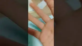 о ноу