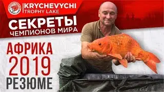 Африка 2019. Резюме.
