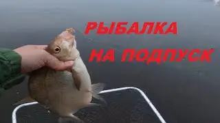 Поставил крючки меньшего размера и началось... Рыбалка на подпуск