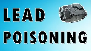 Lead Poisoning Symptoms, Treatment, and Causes