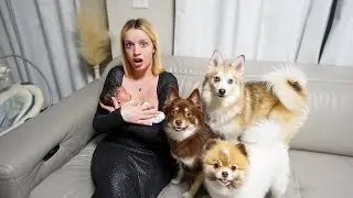 Baby Meets Our 3 PUPPIES For The First Time!! *UH OH*