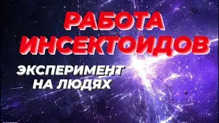 Как работают Инсектоиды. Детали работы на тонком плане.
