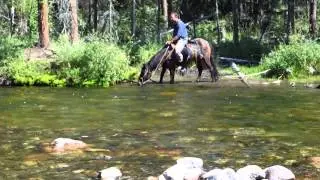 Pereprava cherez reku v konnom pohode