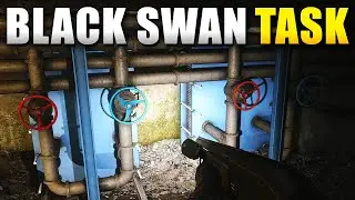 Black Swan Task Guide in Escape From Tarkov