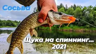 Рыбалка на Сосьве 2021.Щучки на спиннинг.