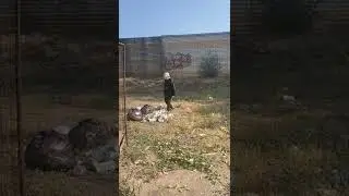 Жесть. Камышина . Малолетки ищут закладку