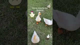 Dinner time!