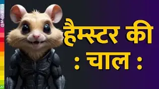 Hamster Kombat हैम्स्टर की चाल: क्रिप्टो का सबक | hamster kombat withdrawal next video me