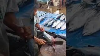 skill memotong ikan