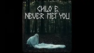 Chlo E.- Never Met You (Visual)