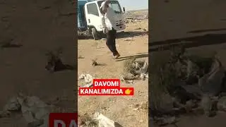QASHQADARYO VILOYATI KOSON TUMANI INTERNET PORTLATIB YUBORDI