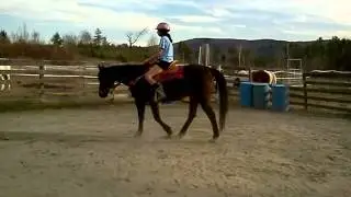Layla riding Impish Iron