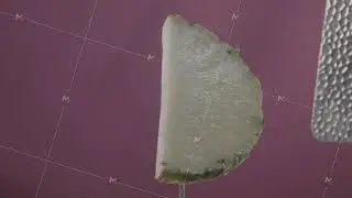 Pineapple rotating with loop on fuchsia screen for chroma key