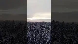 Look at this! Why you need a drone 🌲🦅