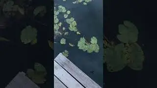 Театральный фестиваль в Суздале | Сенокос