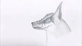 Wolf to demon transformation [ edit: its very OLD ]