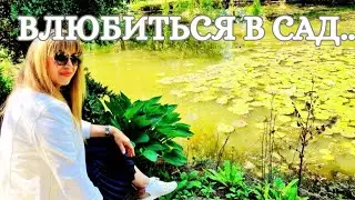 695.  25 ЛЕТ НАЗАД ЗДЕСЬ ЕЩЕ НИЧЕГО НЕ БЫЛО! РАЙСКОЕ МЕСТЕЧКО.