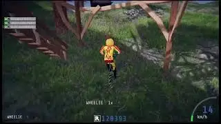 Flying chicken