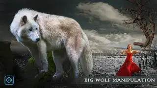 Big Wolf manipulation in just 10 minutes | Photoshop | SATYATEJA