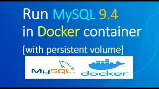 How to run MySQL database in a Docker 