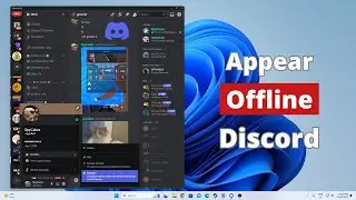 How to Appear Offline on Discord