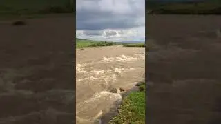Икон Халк 017
