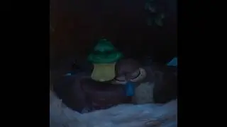 Эдит с Кряквами :3 (перезалив)