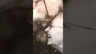 ЖИЗНЬ ПОСЛЕ ШЕСТИДЕСЯТИ МОЖЕТ БЫТЬ ПРЕКРАСНА 