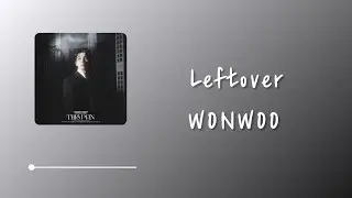 WONWOO（원우/圓佑） - Leftover (휴지통) Lyrics 中韓字幕 | 中文歌詞